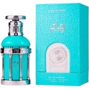 Paris Corner Reham Wild Mineral EDP 100 ml
