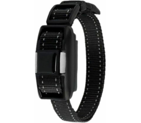 Reedog P20