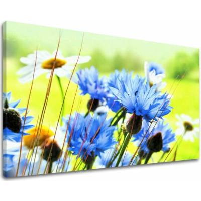 Obraz na stenu KVETY - 100x150