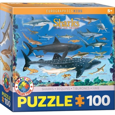 Eurographics Requins 100 dielov