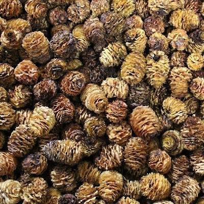 STRICTUM LOOSE NATURAL 2ND GRADE( 12 kg )
