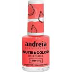 Andreia Professional Nutri Color Care & Color NC15 10,5 ml