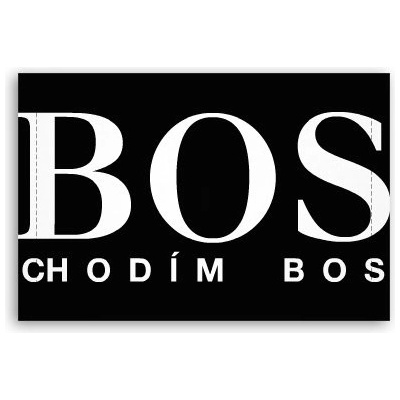 Fotoobraz 60x40 cm malý Bos