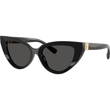 Dolce&Gabbana DG4497 501/87