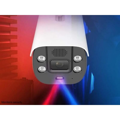 Monitorrs Security 6079