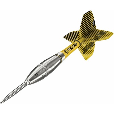 Target steel Scott Williams Swiss point 25g, 90% wolfram