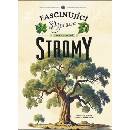Stromy
