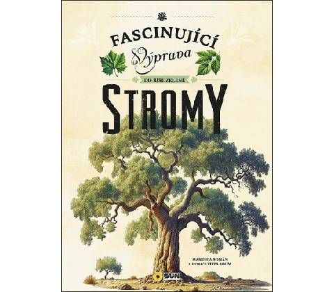 Stromy
