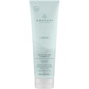 Paul Mitchell Awapuhi Wild Ginger HydraSoft Shampoo 250 ml