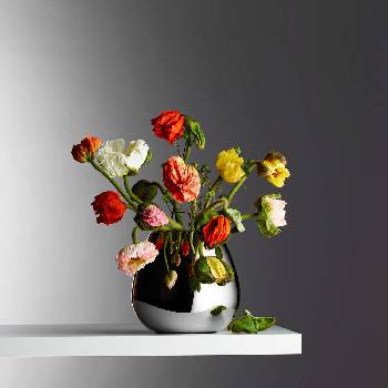 Image 1 of Philippi Малка ваза philippi от серия anais