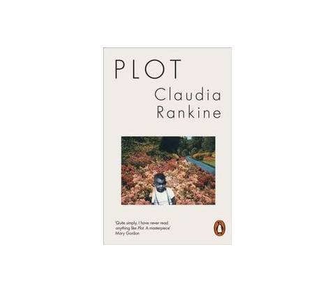 Plot