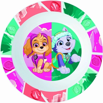 STOR PLASTOVÁ MISKA PAW PATROL 300 ML