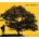 JOHNSON JACK: IN BETWEEN DREAMS CD