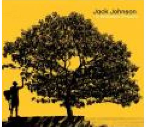 JOHNSON JACK: IN BETWEEN DREAMS CD