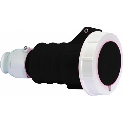 Bals 31501