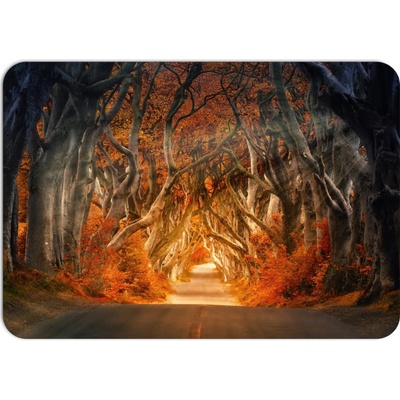 PokojovaDekorace.cz prostírání 754 Les 43x30cm