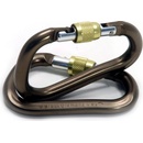 Karabíny Black Diamond Rocklock Screwgate