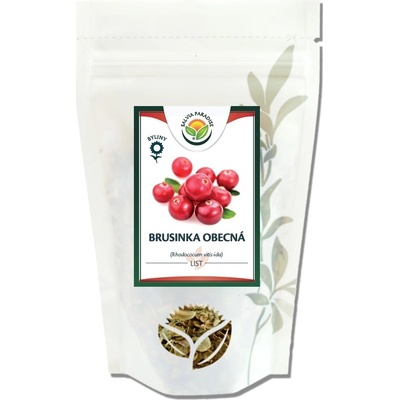 Salvia Paradise Brusinka list 10 g