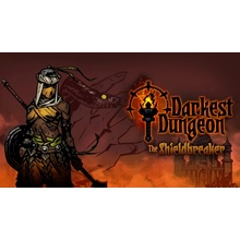 Darkest Dungeon: The Shieldbreaker