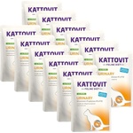 KATTOVIT Urinary паста с пуйка 12 x 85 г