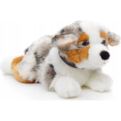australský ovčák s obojkem Uni-Toys realistický 40 cm