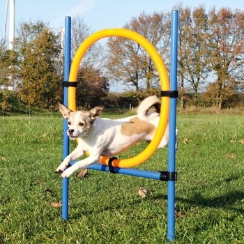 Trixie Agility proskakovací kruh / 78 x 115 cm