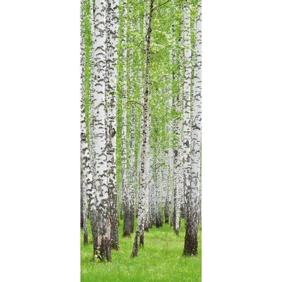Preinterier DV0071 Fototapeta na stenu Stromy vlies 91cm x 211cm
