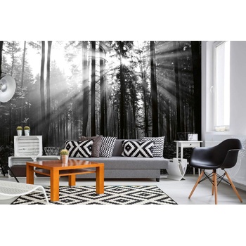 DIMEX ART s. r. o Самозалепваща се флизелинова фототапета черно-бяла гора 375 x 250 см