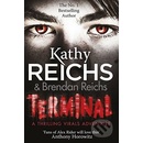 Terminal