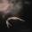 PRETTY RECKLESS - Other Worlds CD