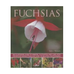 Fuchsias | Andrew Mikolajski (2013)