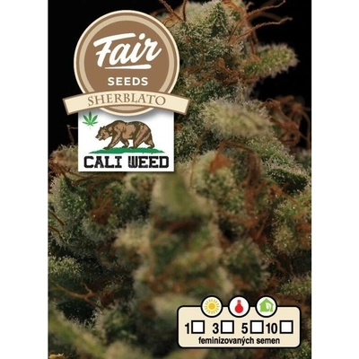 Fair Seeds Sherblato semena neobsahují THC 10 ks