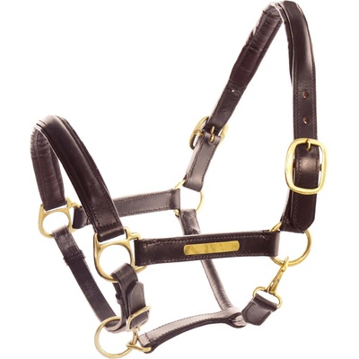 Umbria Kožená ohlávka Equitazione tmavě hnědá – Zboží Dáma