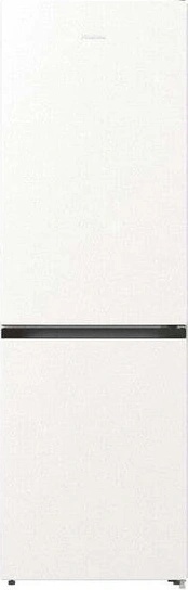 Hisense RB390N4AW20
