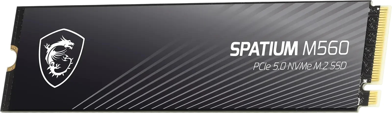 MSI Spatium M560 2TB (S78-440Q940-P83)