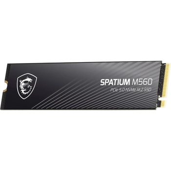 MSI Spatium M560 2TB (S78-440Q940-P83)