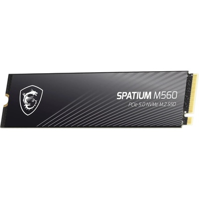 MSI Spatium M560 2TB (S78-440Q940-P83)