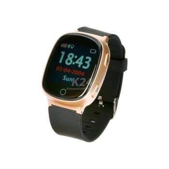 Garett GPS3