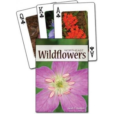 Wildflowers of the Northeast Playing Cards | Jaret C. Daniels, Stan Tekiela