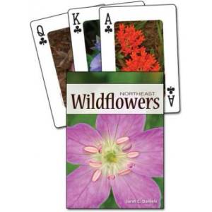 Adventure Pubns Wildflowers of the Northeast Playing Cards | Jaret C. Daniels, Stan Tekiela