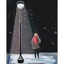 Vymalujsisam.sk Malování podle čísel Žena pod lampu a padajúci sneh