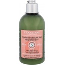 L'Occitane regenerační Conditioner Aromachologie Repairing Conditioner pro suché a poškozené vlasy 250 ml