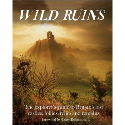 Wild Ruins - Dave Hamilton