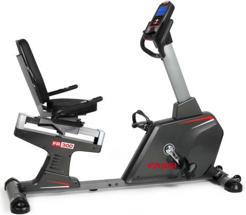 Fassi FR 300