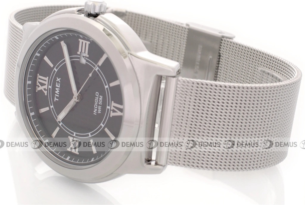 Timex T2P519