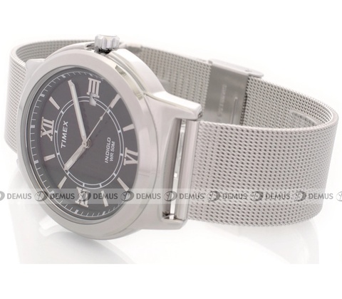 Timex T2P519