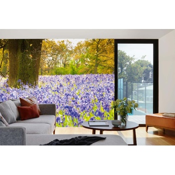 DIMEX ART s. r. o Самозалепваща се флизелинова фототапета камбанки в гората 375 x 250 см