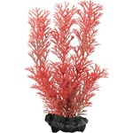 TETRA Myriophyllum heterophyllum (Red Foxtail) - растение Tetra 15 см, S