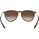 Image 1 of Ray-Ban Erika RB4171 865/13