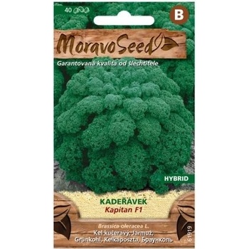 Semená Kadeřávek KAPITAN F1 - hybrid, zelené, 40 s